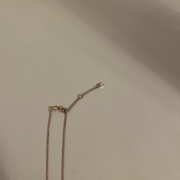 Fossil Horseshoe Necklace - Picture 9 of 10